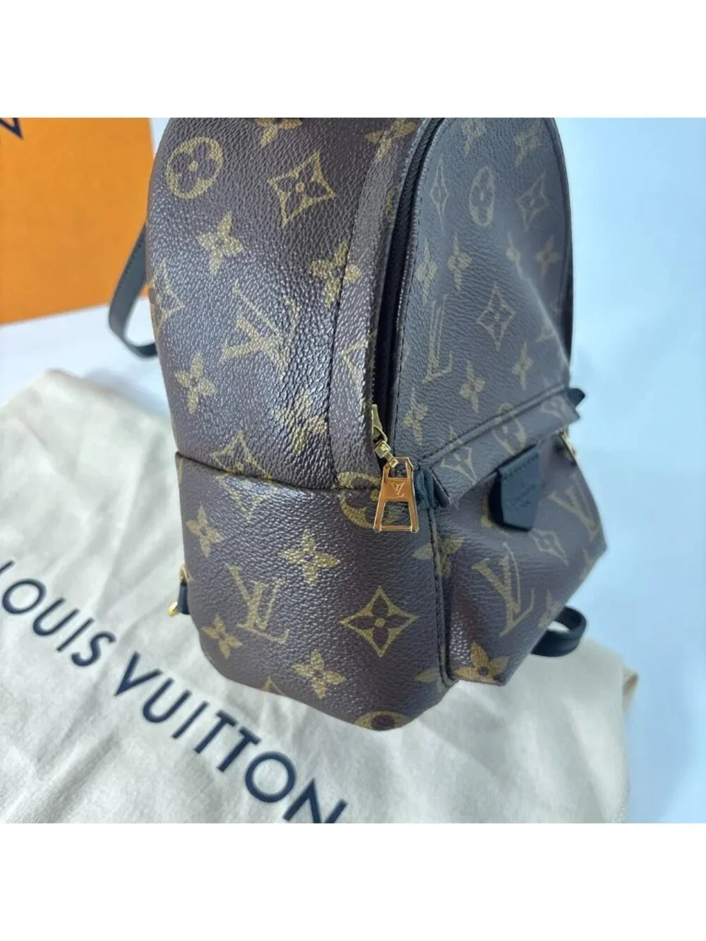 Louis Vuitton Palm Springs Mini Backpack Monogram